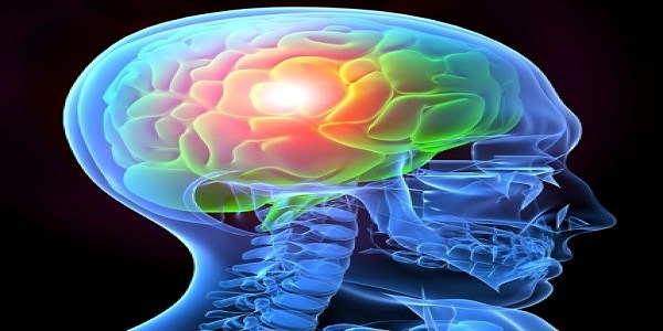 Traumatic Brain Injury Therapeutics